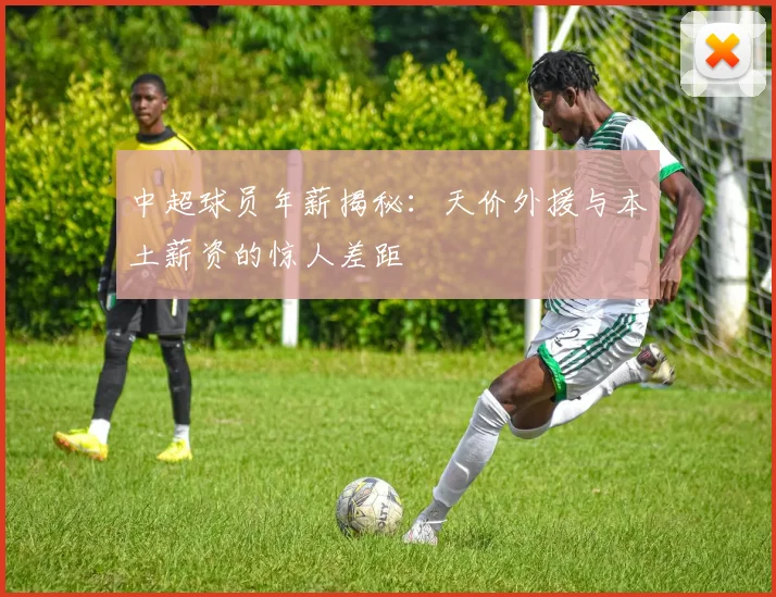 中超球员年薪揭秘:天价外援与本土薪资的惊人差距