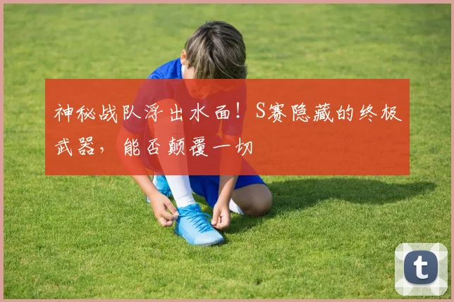 神秘战队浮出水面!S赛隐藏的终极武器,能否颠覆一切